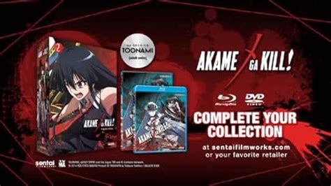 akame ga kill! television show|Akame ga Kill! (TV Series 2014)